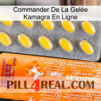 Commander De La Gelée Kamagra En Ligne new05